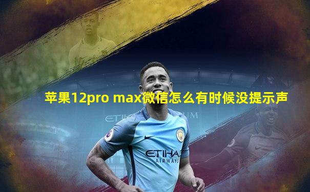 苹果12pro max微信怎么有时候没提示声